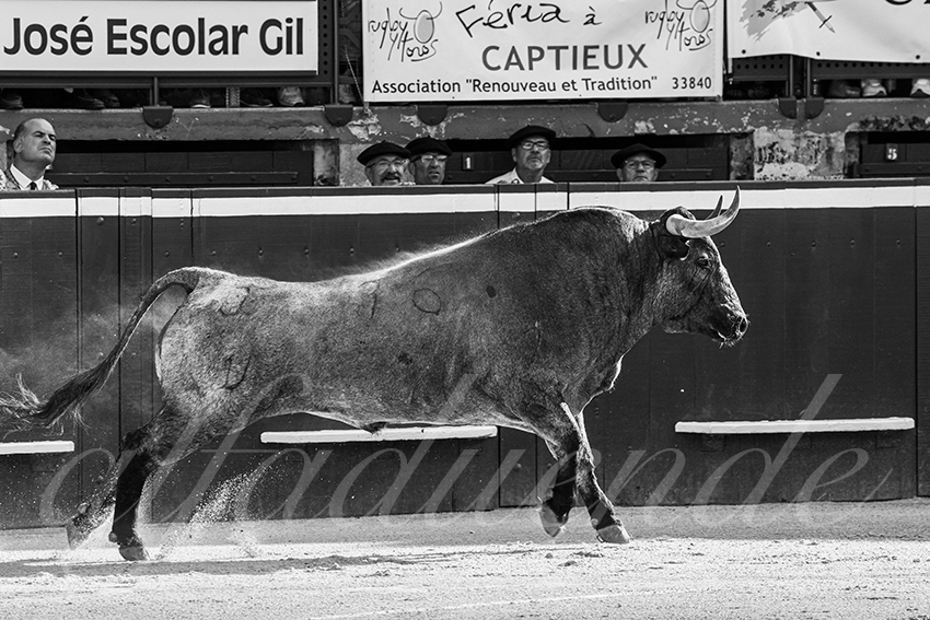 20250718 mt de marsan 006