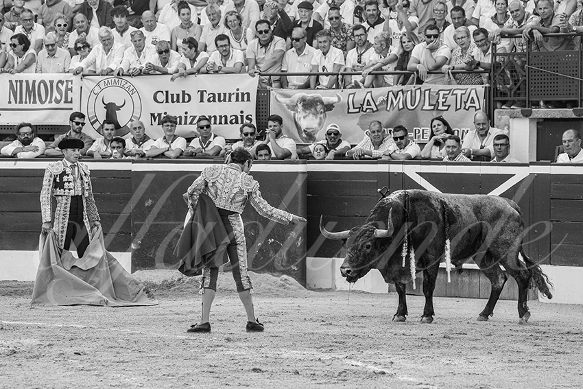 20250718 mt de marsan 004