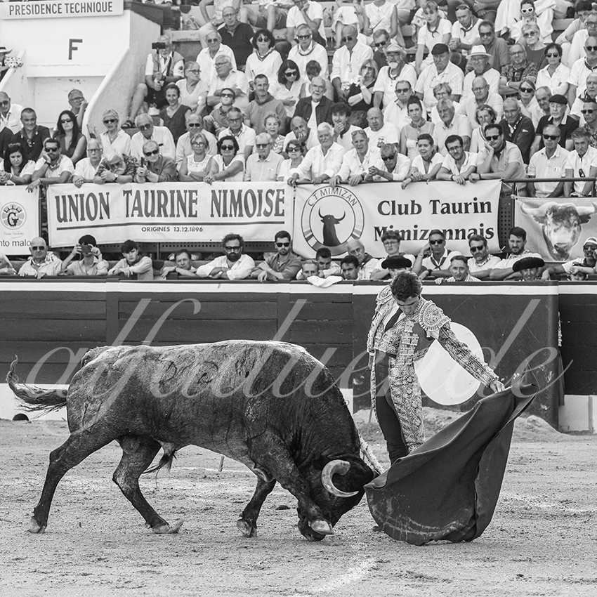 20250718 mt de marsan 003