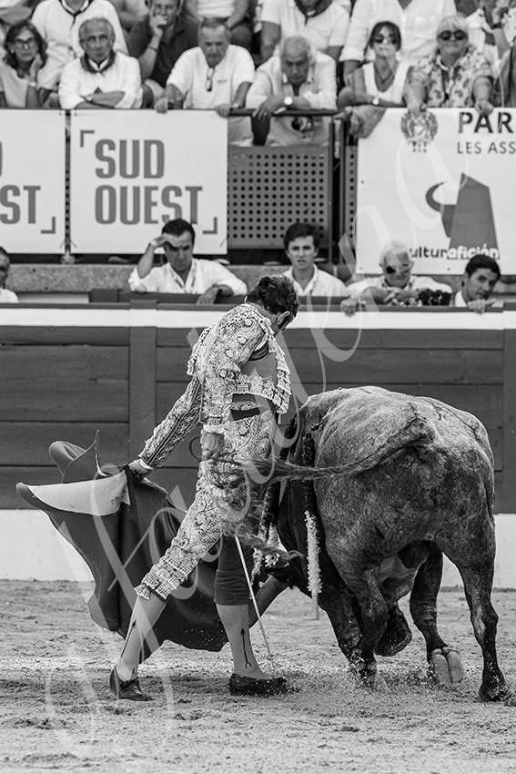 20250718 mt de marsan 002