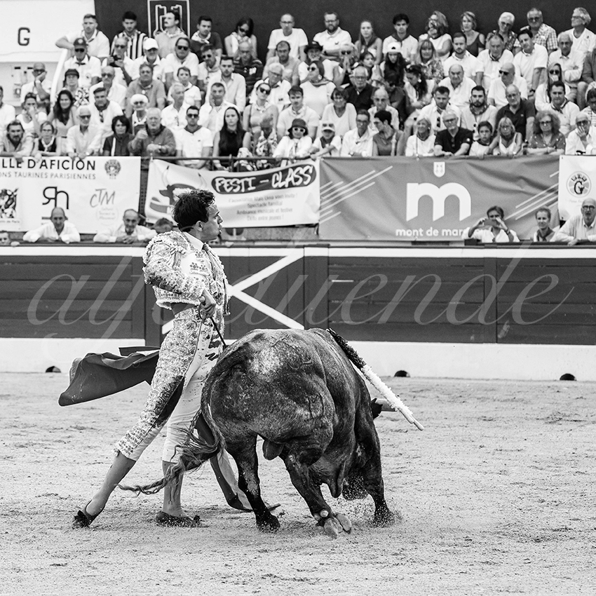 20250718 mt de marsan 024