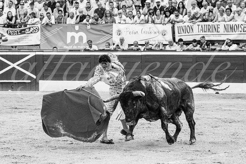 20250718 mt de marsan 022