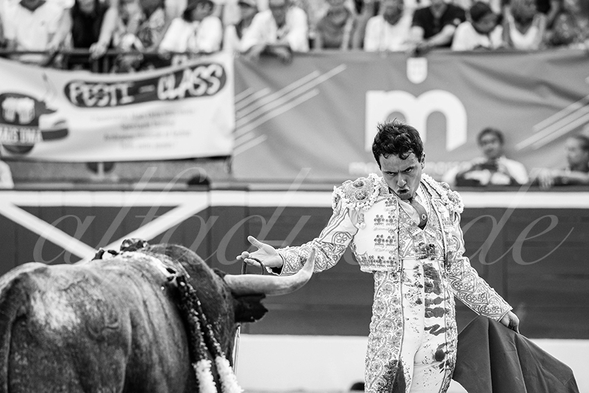 20250718 mt de marsan 021