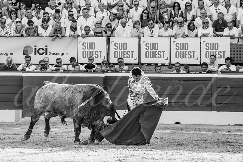 20250718 mt de marsan 020