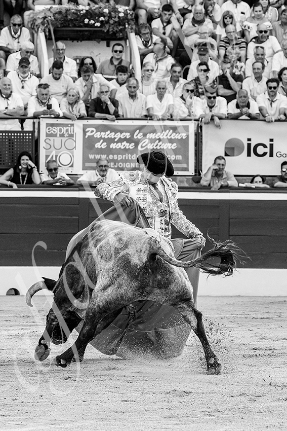 20250718 mt de marsan 019