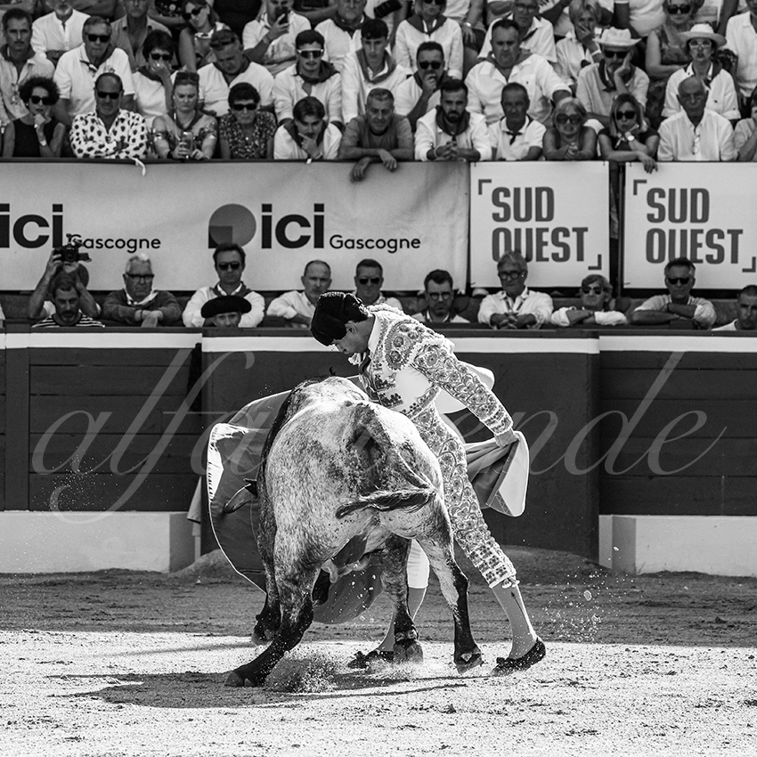 20250718 mt de marsan 018