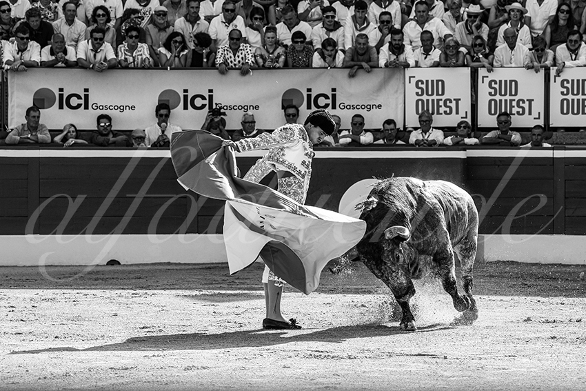 20250718 mt de marsan 017