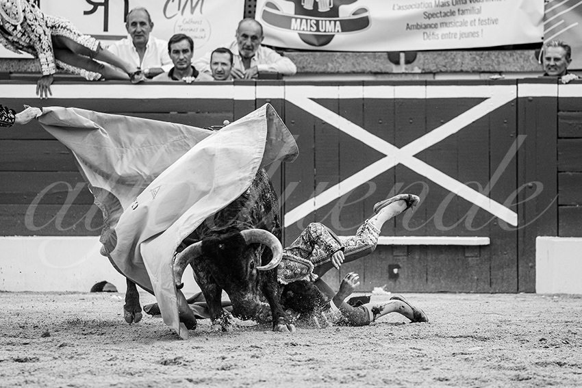 20250718 mt de marsan 015