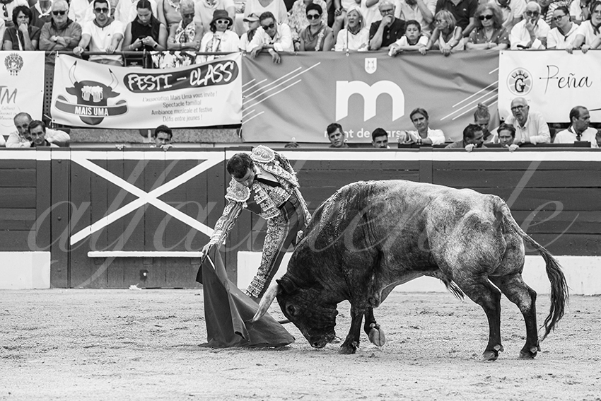 20250718 mt de marsan 014