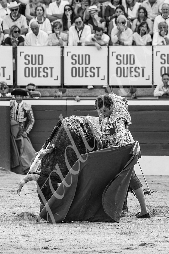 20250718 mt de marsan 013