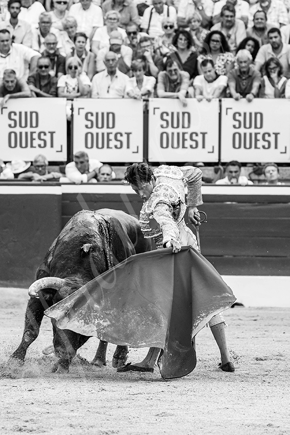 20250719 mt de marsan 012