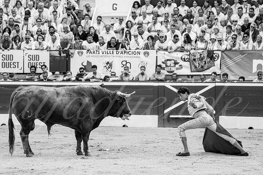 20250719 mt de marsan 011