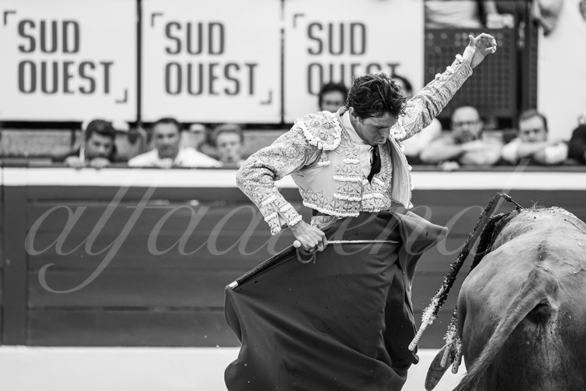 20250719 mt de marsan 010