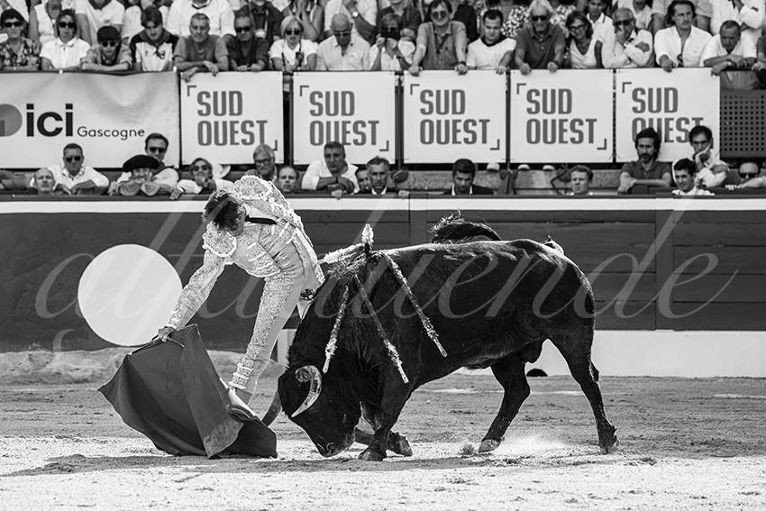 20250719 mt de marsan 009