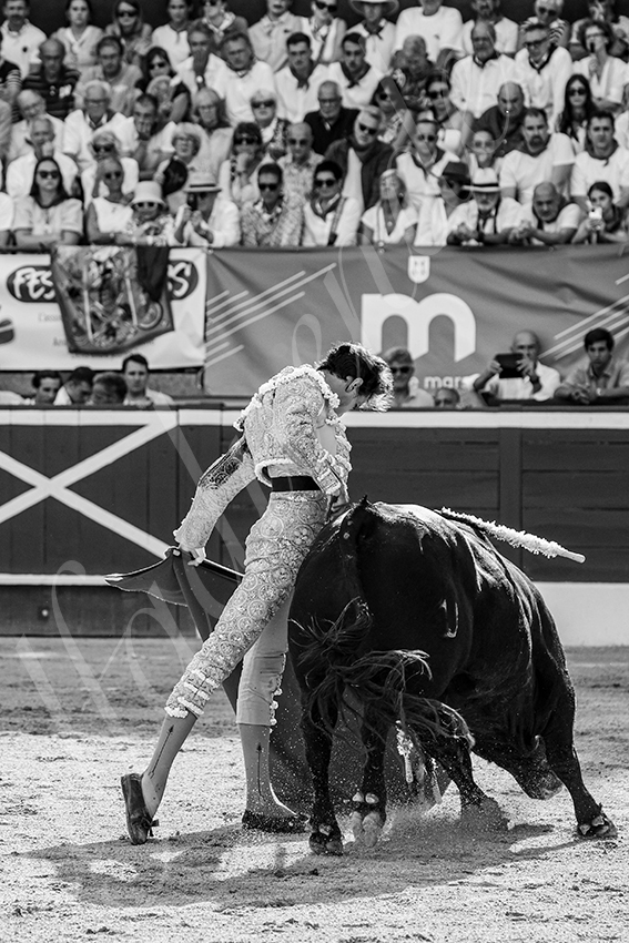 20250719 mt de marsan 008