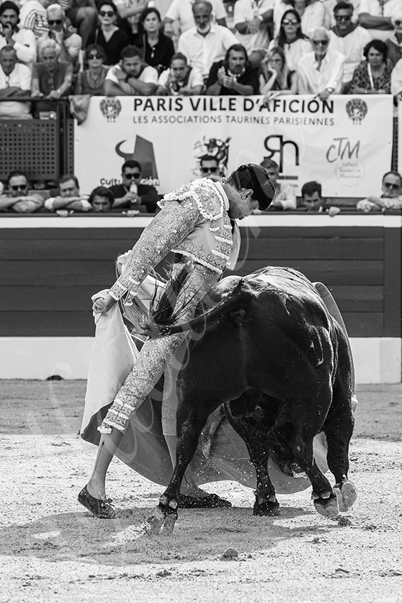 20250719 mt de marsan 007