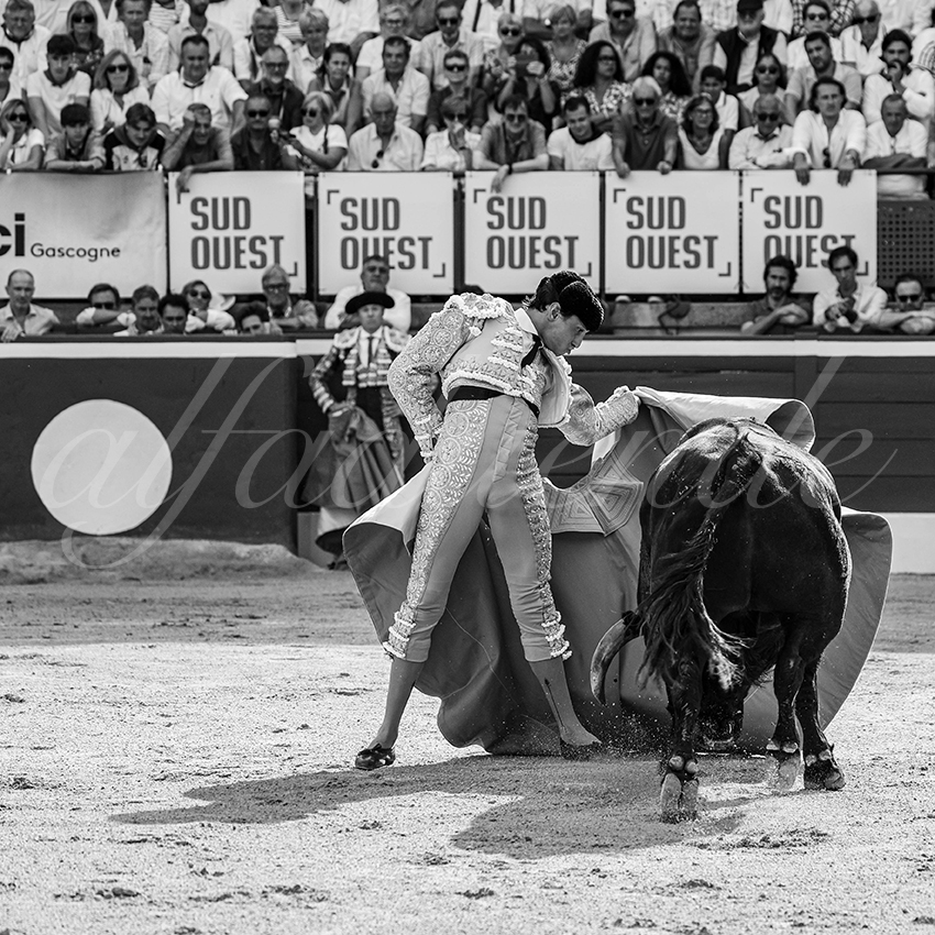 20250719 mt de marsan 006