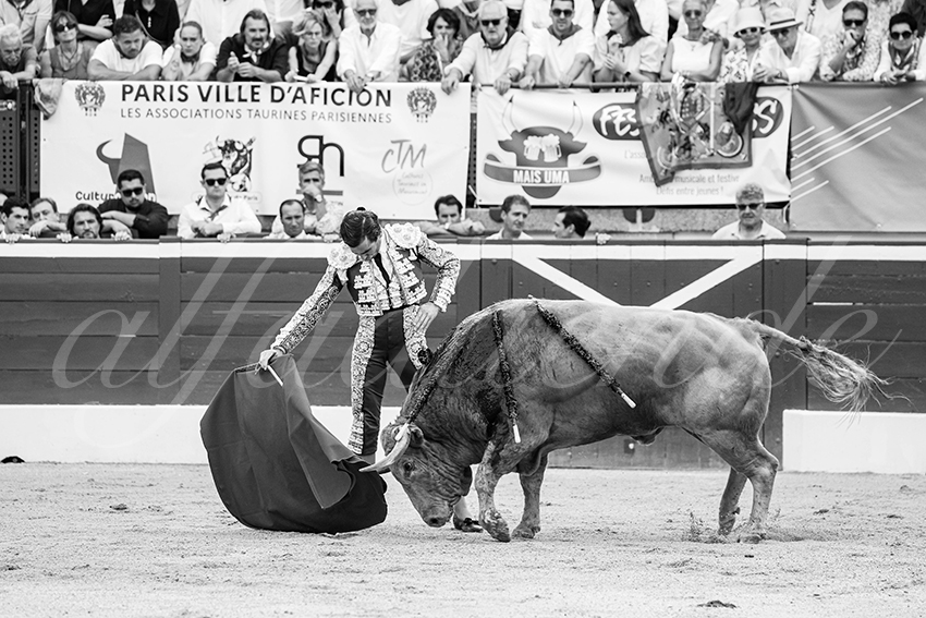 20250719 mt de marsan 004