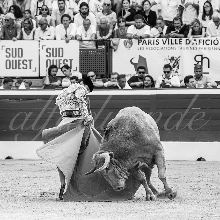 20250719 mt de marsan 003