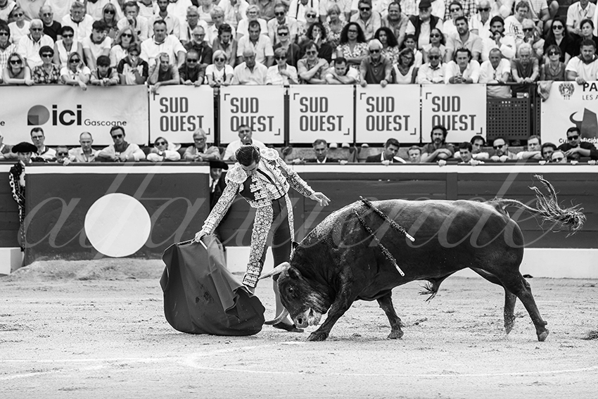 20250719 mt de marsan 002