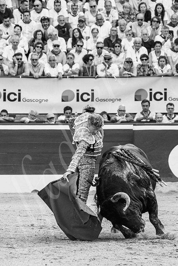 20250719 mt de marsan 022