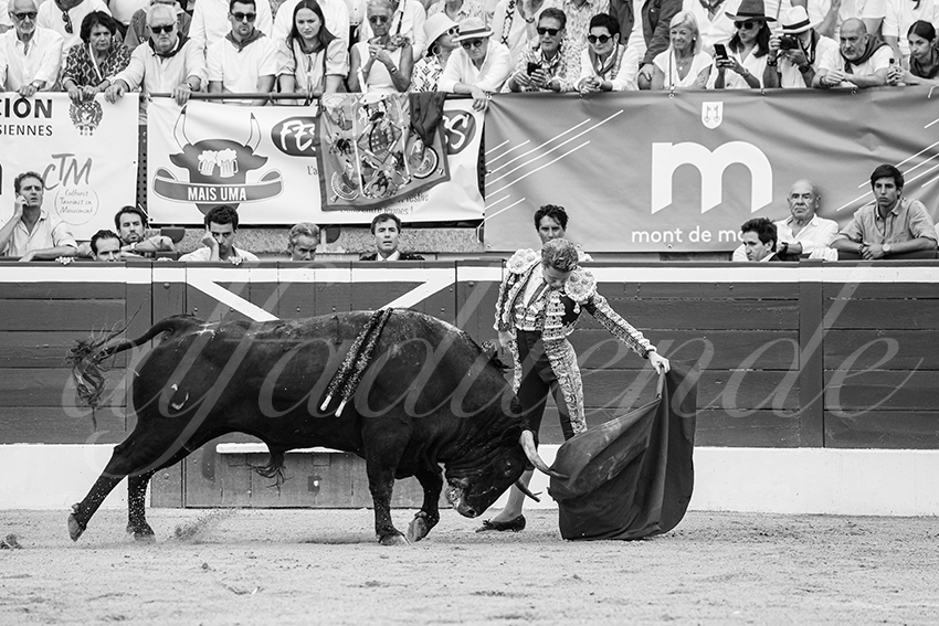 20250719 mt de marsan 019