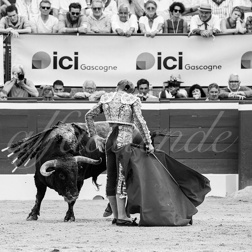 20250719 mt de marsan 017