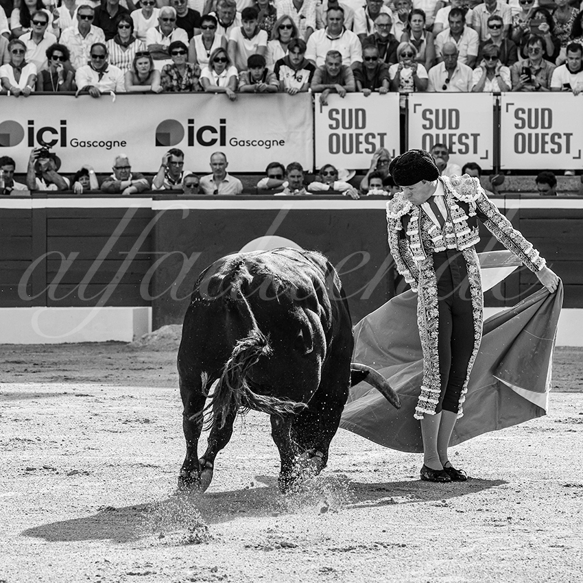 20250719 mt de marsan 015