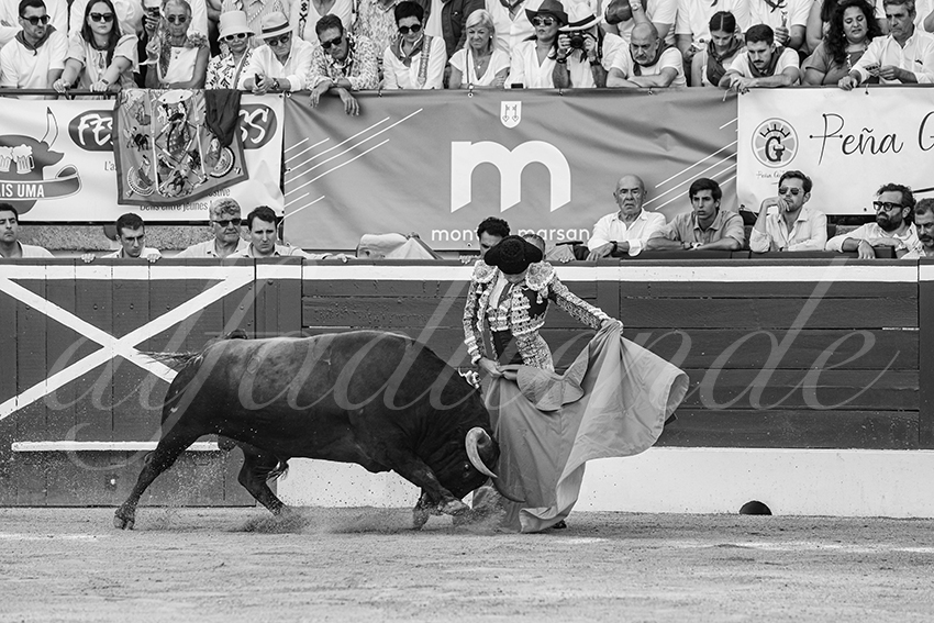 20250719 mt de marsan 014