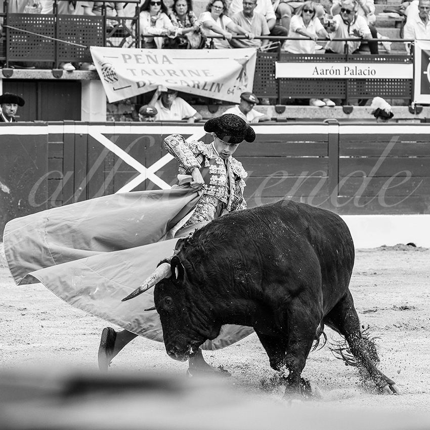 20250719 nov mt de marsan 012