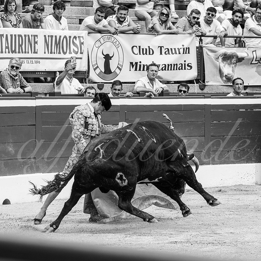 20250719 nov mt de marsan 011