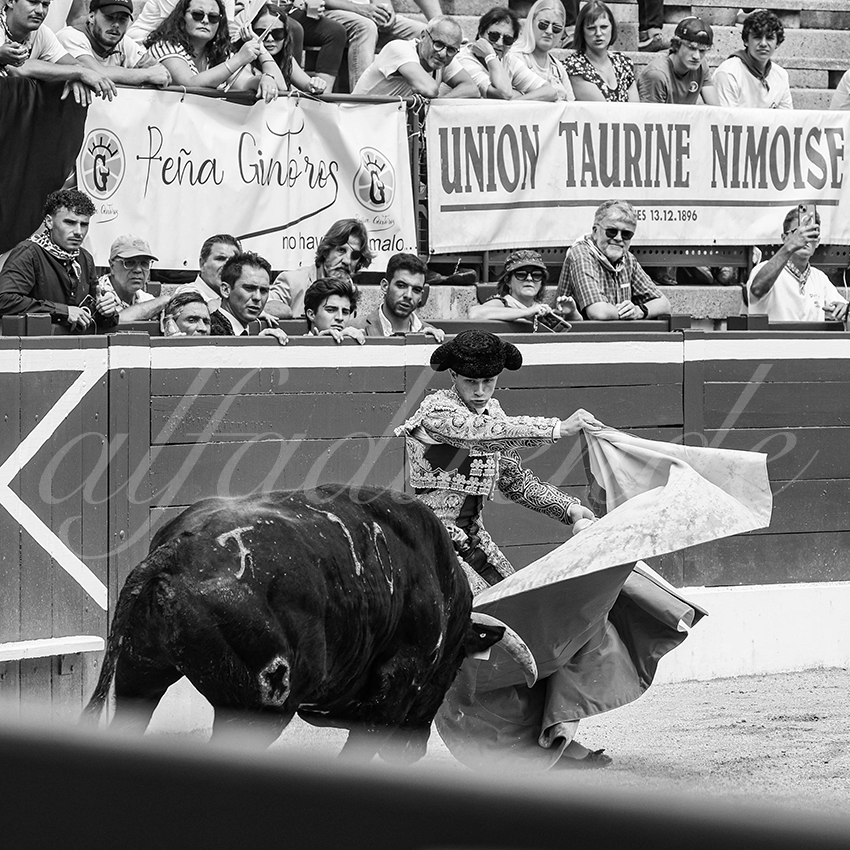 20250719 nov mt de marsan 010