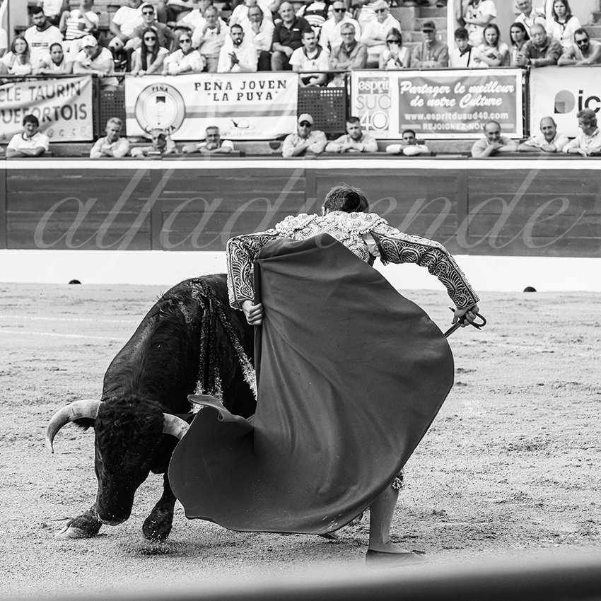 20250719 nov mt de marsan 008