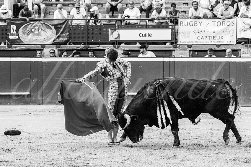 20250719 nov mt de marsan 007