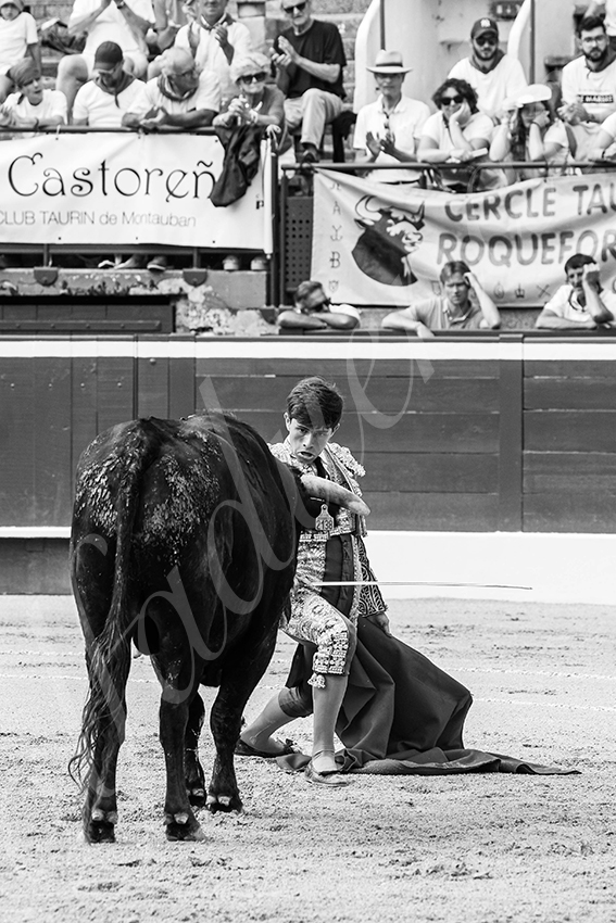 20250719 nov mt de marsan 006