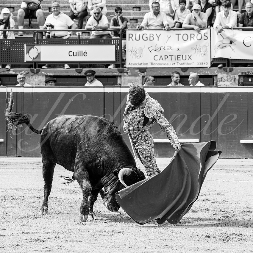 20250719 nov mt de marsan 005