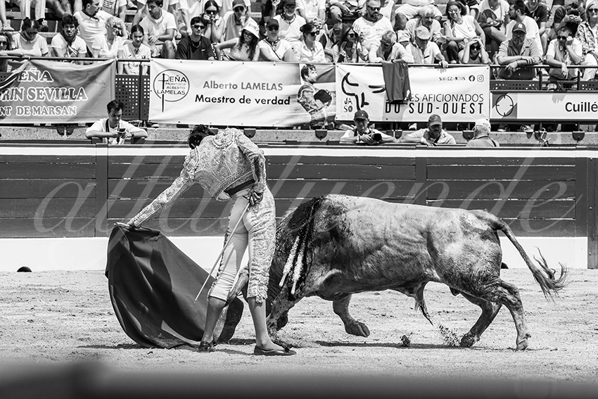 20250719 nov mt de marsan 024