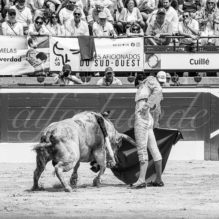 20250719 nov mt de marsan 023