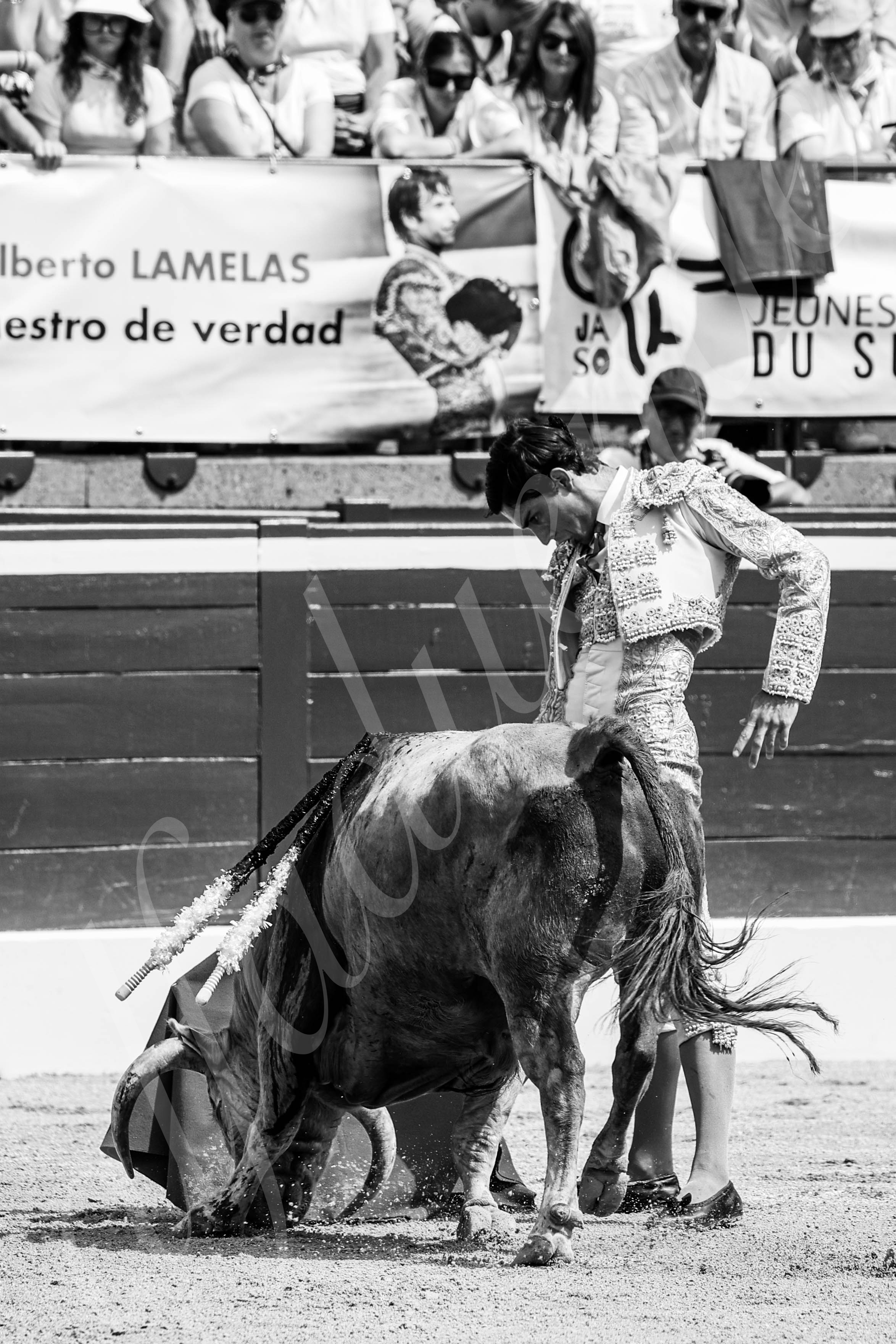 20250719 nov mt de marsan 022