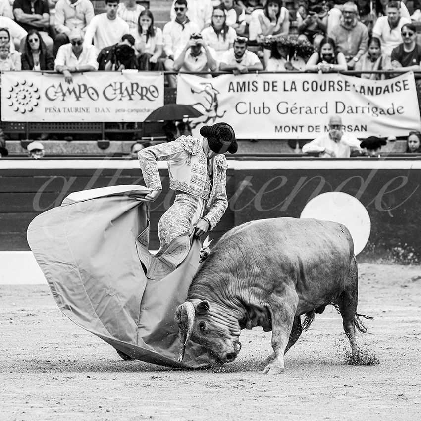 20250719 nov mt de marsan 021