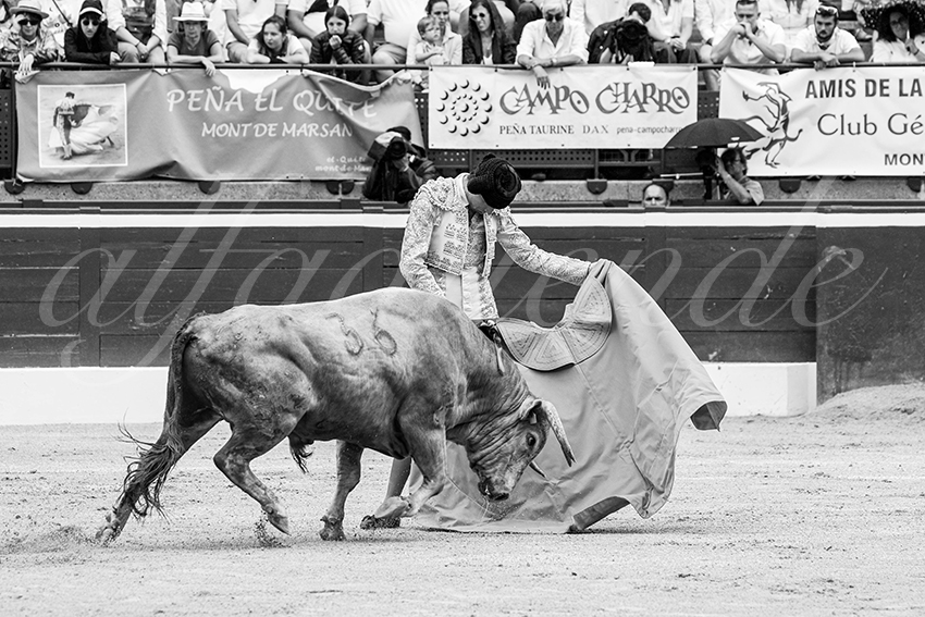 20250719 nov mt de marsan 020