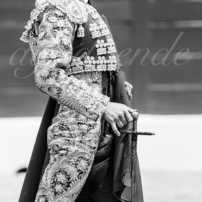 20250719 nov mt de marsan 019