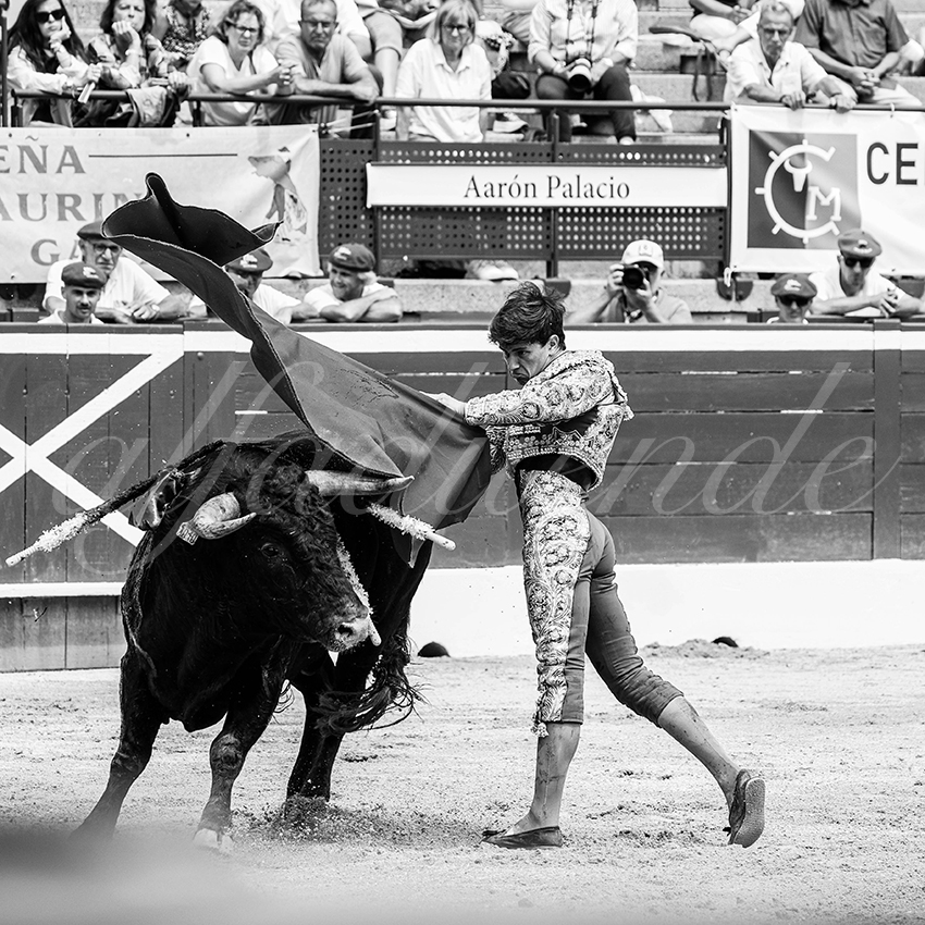 20250719 nov mt de marsan 018