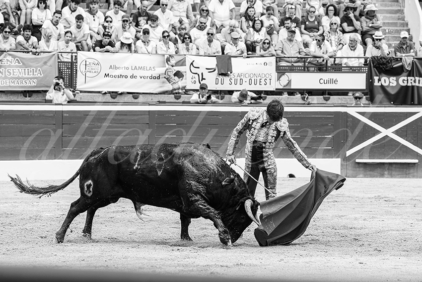 20250719 nov mt de marsan 017