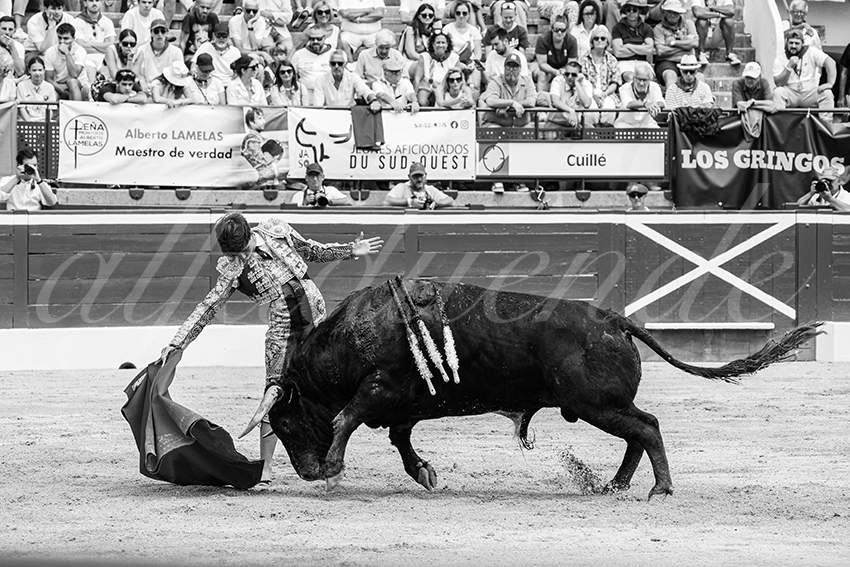 20250719 nov mt de marsan 016