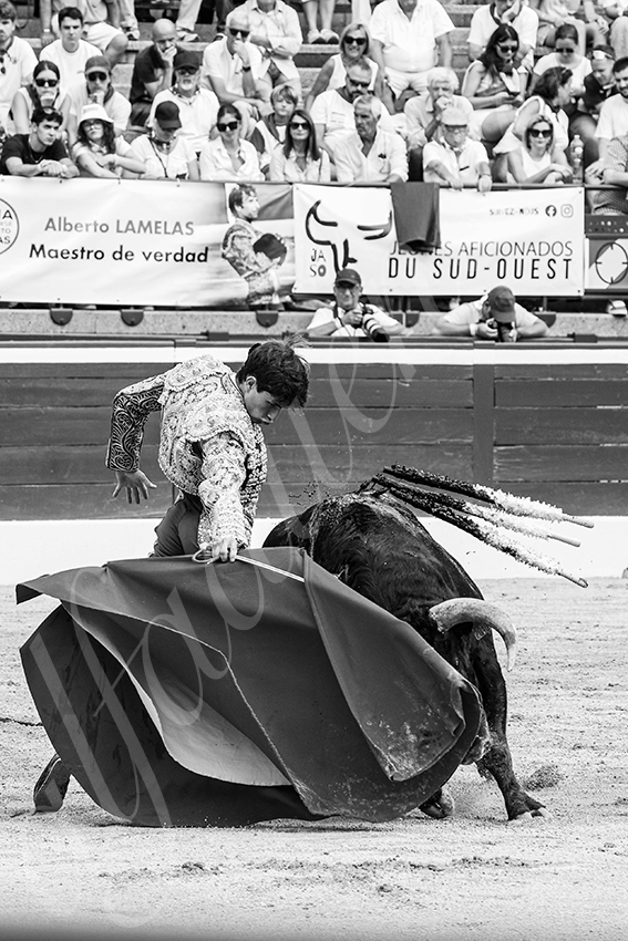 20250719 nov mt de marsan 015