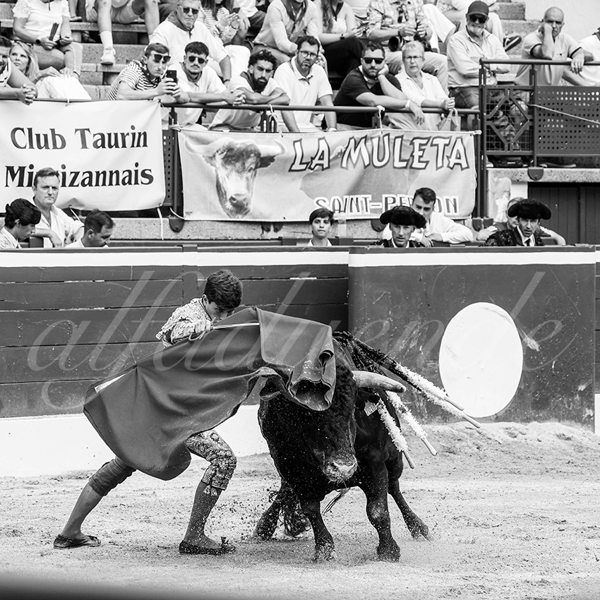 20250719 nov mt de marsan 014