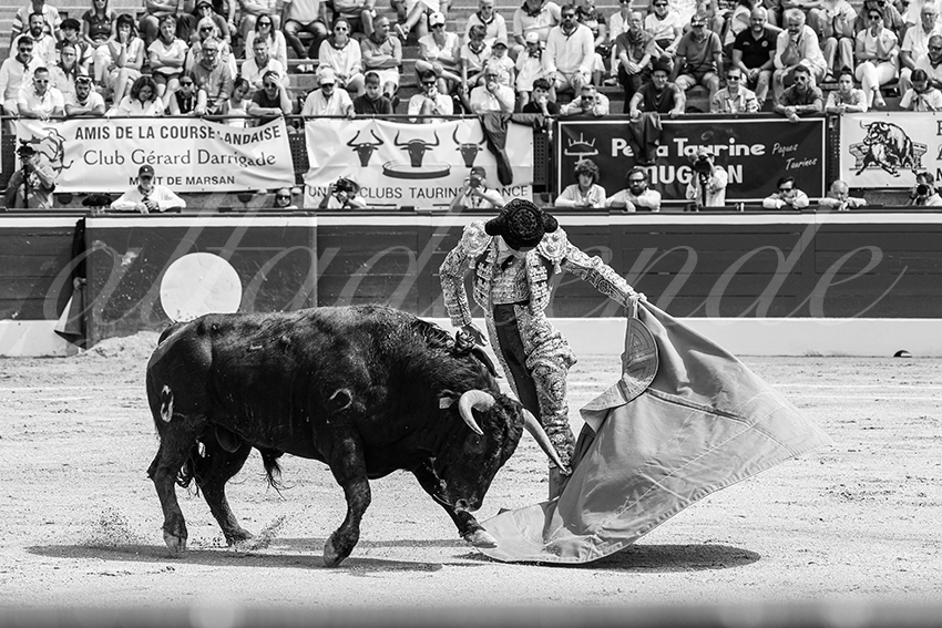 20250719 nov mt de marsan 013