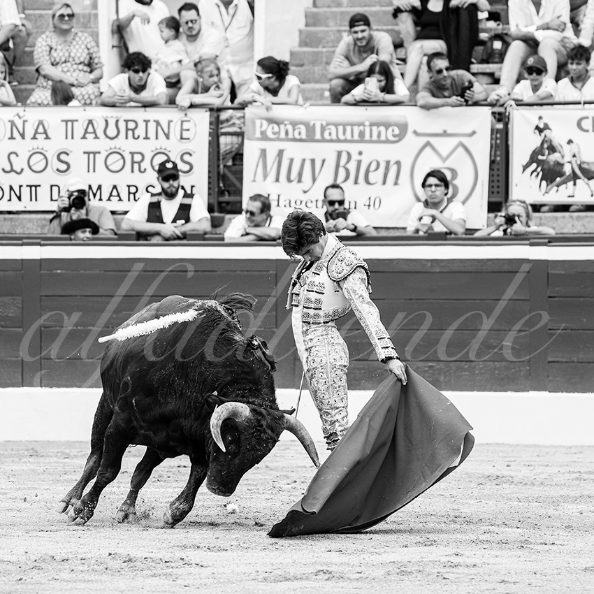 20250719 nov mt de marsan 030