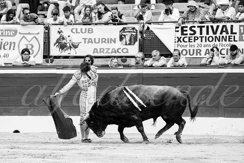 20250719 nov mt de marsan 029